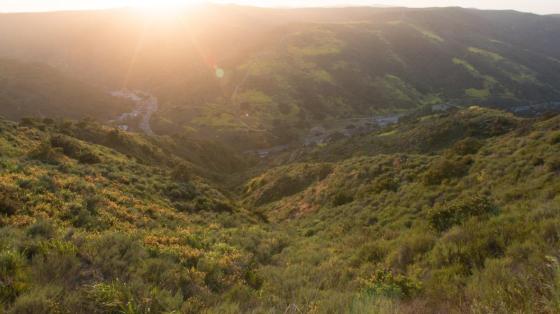 Picture of Aliso and Wood